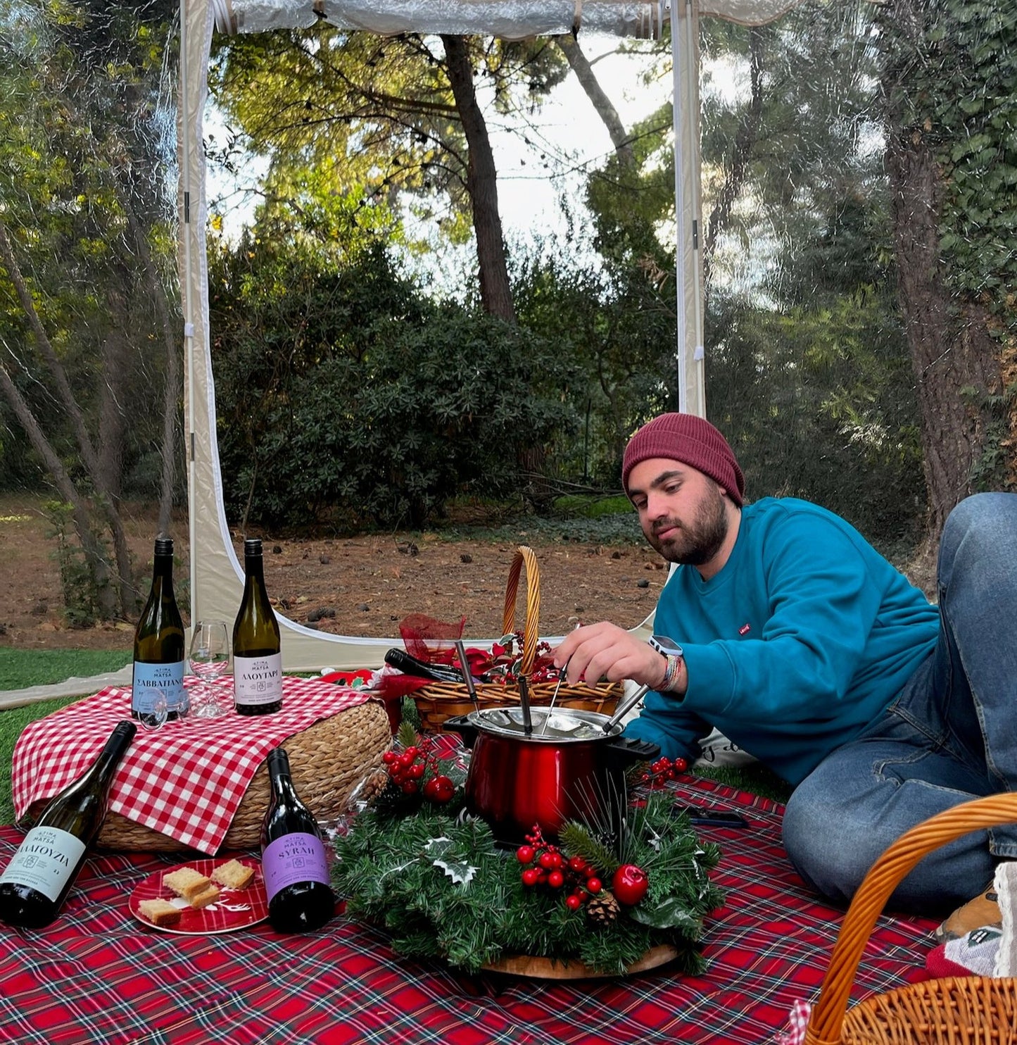 Winter Cozy Hideaway Picnic