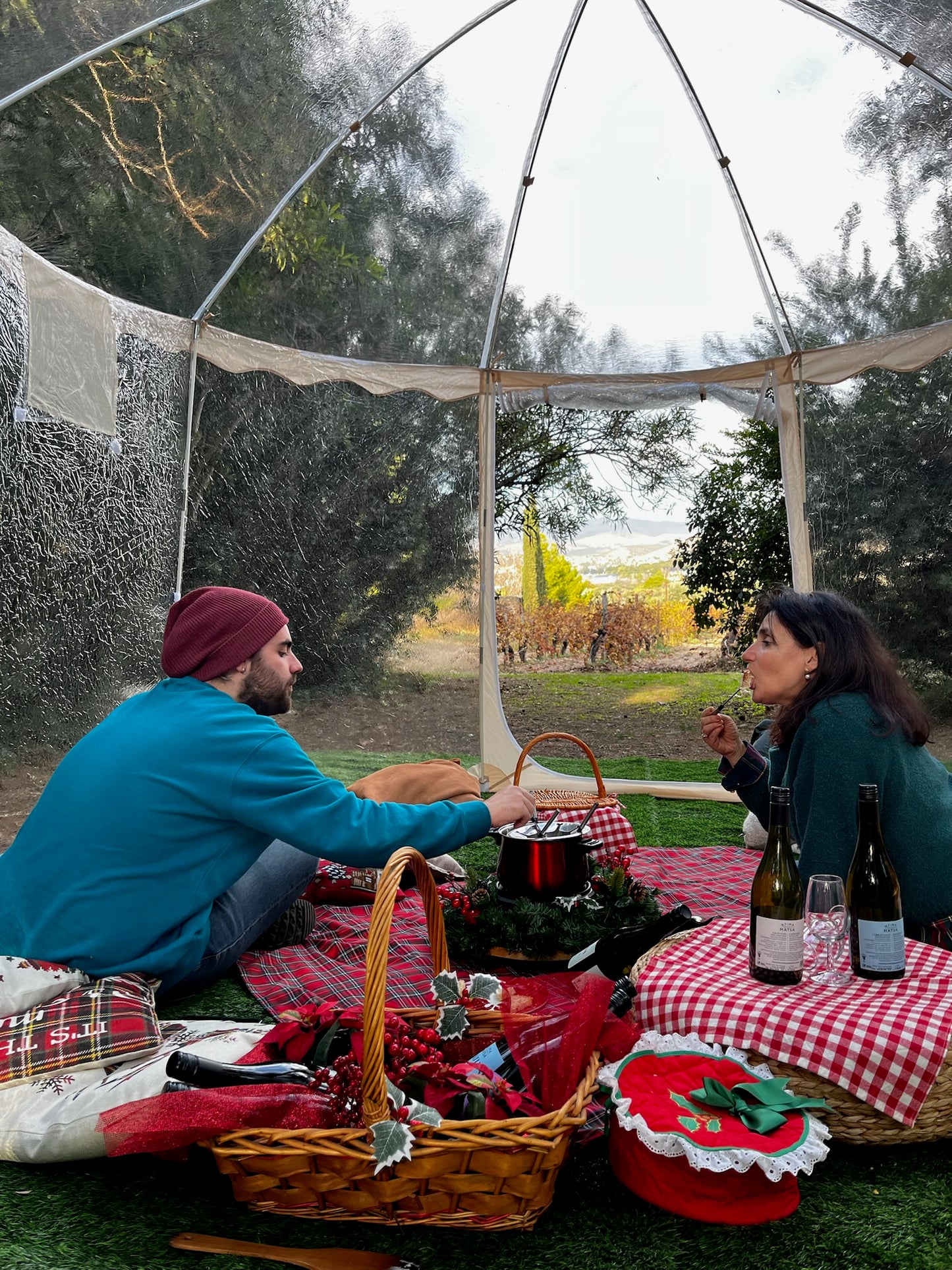 Winter Cozy Hideaway Picnic